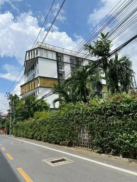 Tidy Thonglor, Bangkok, 105 Sukhumvit 55 Road, Khlong Tan Nua, Watthana, Bangkok, 1 Bedroom, 30 sqm, Condo For Rent, by Pimonnat Sujindawong, 500577408 - DDproperty.com