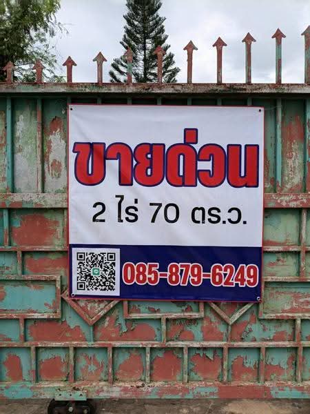 Mueang Loei District, Loei Province, loei, ซอยประขานุเคราะห์, Muang, Muang Loei, Loei, 7 Bedrooms, 3,480 sqm, Single Detached House For Sale, by ศิริภัสสร โชติประยูรศักดิ์, 500577416 - DDproperty.com