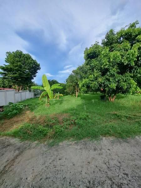 Mueang Loei District, Loei Province, loei, ซอยประขานุเคราะห์, Muang, Muang Loei, Loei, 7 Bedrooms, 3,480 sqm, Single Detached House For Sale, by ศิริภัสสร โชติประยูรศักดิ์, 500577416 - DDproperty.com