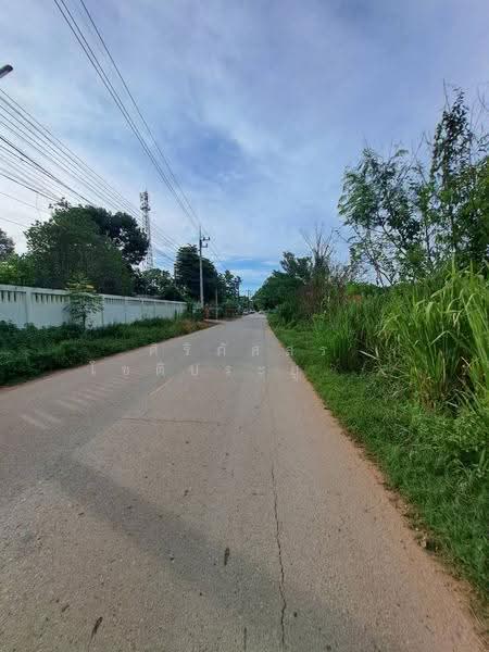 อำเภอเมืองเลย จังหวัดเลย, เลย, ซอยประขานุเคราะห์, เมือง, เมืองเลย, เลย, 3,480 ตร.ม., บ้านเดี่ยว ขาย, โดย ศิริภัสสร โชติประยูรศักดิ์, 500577416 - DDproperty.com