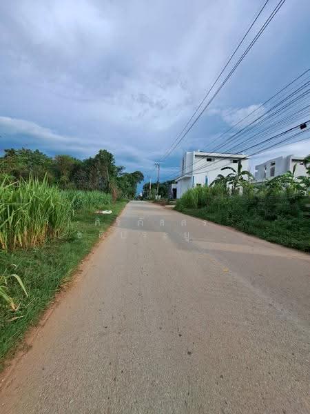 อำเภอเมืองเลย จังหวัดเลย, เลย, ซอยประขานุเคราะห์, เมือง, เมืองเลย, เลย, 3,480 ตร.ม., บ้านเดี่ยว ขาย, โดย ศิริภัสสร โชติประยูรศักดิ์, 500577416 - DDproperty.com