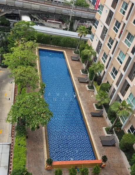 Diamond Sukhumvit : ไดมอนด์ สุขุมวิท, กรุงเทพ, 1558 ถนนสุขุมวิท, พระโขนง, คลองเตย, กรุงเทพ, 56 ตร.ม., คอนโด ขาย, โดย Pavadee Boonyarith, 500577475 - DDproperty.com