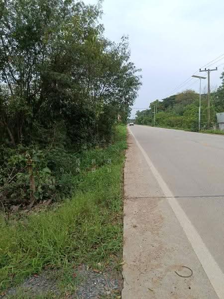 ขายที่ดิน 266 ตร.ว. ติดถนน ทำเลบวกค้าง อ.สันกำแพง จ.เชียงใหม่, เชียงใหม่, บวกค้าง, สันกำแพง, เชียงใหม่, 1,064 ตร.ม., ที่ดิน ขาย, โดย สุดสมร กล่อมน้อย, 500577612 - DDproperty.com