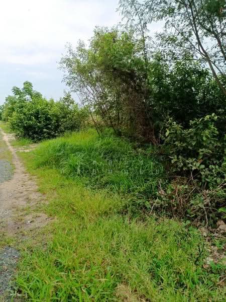 ขายที่ดิน 266 ตร.ว. ติดถนน ทำเลบวกค้าง อ.สันกำแพง จ.เชียงใหม่, เชียงใหม่, บวกค้าง, สันกำแพง, เชียงใหม่, 1,064 ตร.ม., ที่ดิน ขาย, โดย สุดสมร กล่อมน้อย, 500577612 - DDproperty.com