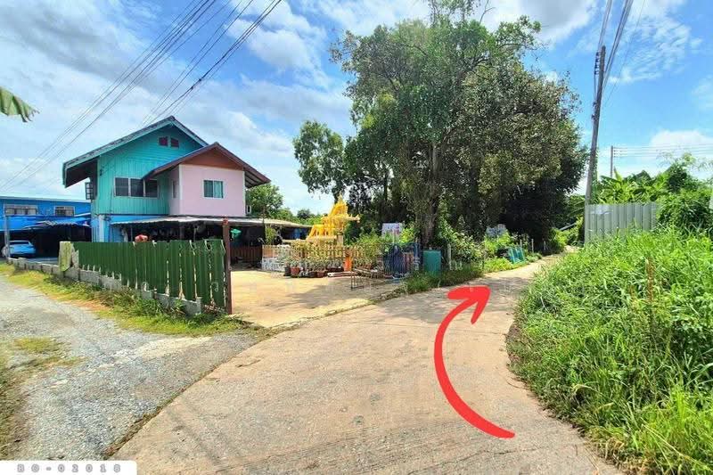 ที่ดินบางไทร 104 ตร.ว. พระนครศรีอยุธยา ใกล้นิคมอุตสาหกรรมนวนคร BO-02018, พระนครศรีอยุธยา, เชียงรากน้อย, บางไทร, พระนครศรีอยุธยา, 416 ตร.ม., ที่ดิน ขาย, โดย เบ็ญจวริณ ภัคเวทพิสิษฐ์(เบ็ญ), 500577746 - DDproperty.com