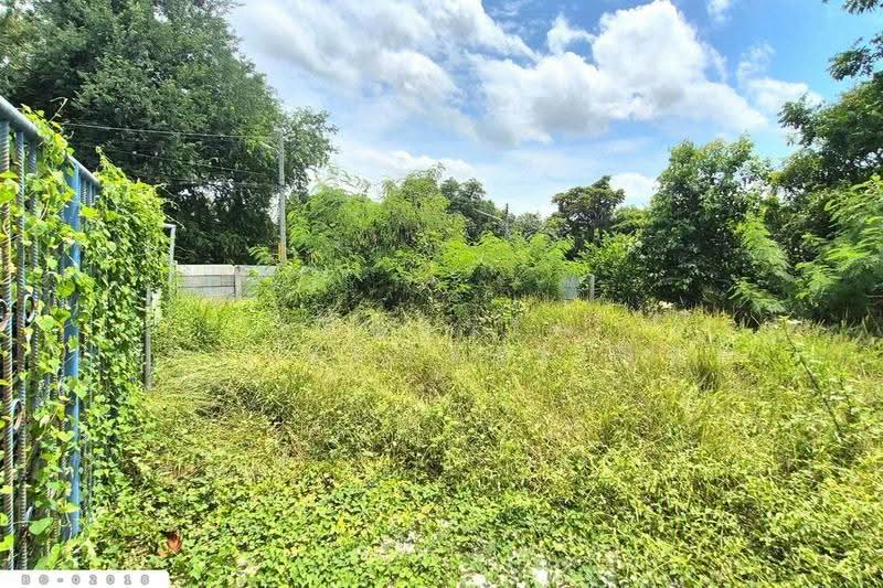 Land in Bang Sai, Phra Nakhon Si Ayutthaya (104 sq. wah) BO-02018, Phra Nakhon Si Ayutthaya, Chiang Rak Noi, Bang-Sai, Phra Nakhon Si Ayutthaya, , 416 sqm, Land For Sale, by Benchawarin Pakkawetppisit, 500577746 - DDproperty.com