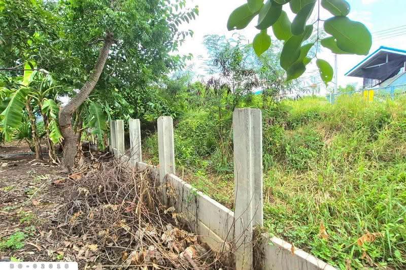 Land in Bang Sai, Phra Nakhon Si Ayutthaya (104 sq. wah) BO-02018, Phra Nakhon Si Ayutthaya, Chiang Rak Noi, Bang-Sai, Phra Nakhon Si Ayutthaya, , 416 sqm, Land For Sale, by Benchawarin Pakkawetppisit, 500577746 - DDproperty.com