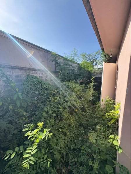 2-BR House, Chon Buri (Pattaya), Na Kloe, Bang Lamung (Pattaya), Chon Buri (Pattaya), 2 Bedrooms, 93 sqm, Single Detached House For Sale, by Puttirat Kleebyam, 500577810 - DDproperty.com