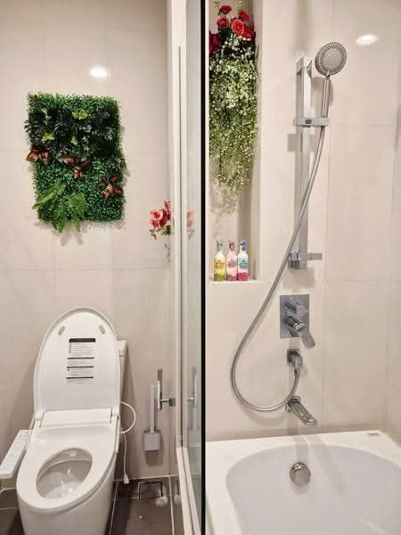 Oka Haus Sukhumvit 36, bangkok, 3399 Rama 4 Road, Khong Tan, Khlong Toei, Bangkok, 1 Bedroom, 35 sqm, Condo For Rent, by Khlueanphon Nukulsirisak, 500577819 - DDproperty.com