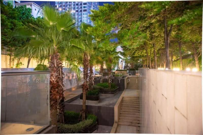 Rhythm Sukhumvit 50, Bangkok, 8 Sukhumvit 50, Sukhumvit Road, Phra Kanong, Khlong Toei, Bangkok, 1 Bedroom, 35 sqm, Condo For Rent, by Pattarapon Preechalertpiriya, 500578211 - DDproperty.com