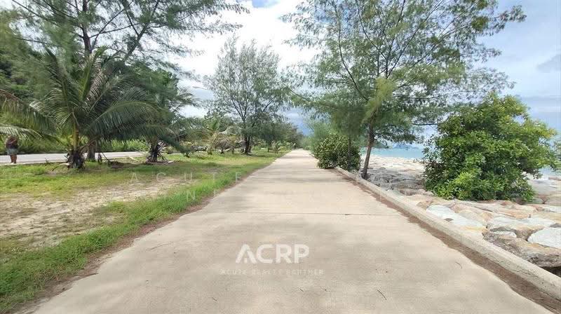 Beachfront Land for Sale in Sam Roi Yot 25+ Metre Beach Frontage, prachuap-khiri-khan, Sam Roi Yot, Prachuap Khiri Khan, , 1,560 sqm, Land For Sale, by Acute Realty Partner Co.,Ltd., 500578323 - DDproperty.com