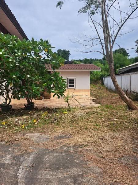 ขายที่ดินพร้อมบ้าน3หลัง ตำบลน้ำหมาน อำเภอเมือง จังหวัดเลย, loei, Nam Man, Muang Loei, Loei, 6 Bedrooms, 2,288 sqm, Single Detached House For Sale, by ศิริภัสสร โชติประยูรศักดิ์, 500578602 - DDproperty.com