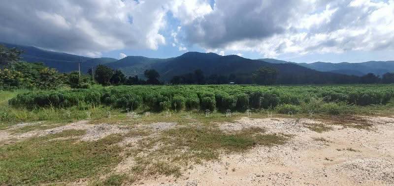 อุทัยธานี, อุทัยธานี, หนองหลวง, สว่างอารมณ์, อุทัยธานี, 134,400 ตร.ม., ที่ดิน ขาย, โดย รฐาโดม ธิติชินกร, 500578891 - DDproperty.com