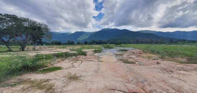 อุทัยธานี, อุทัยธานี, หนองหลวง, สว่างอารมณ์, อุทัยธานี, 134,400 ตร.ม., ที่ดิน ขาย, โดย รฐาโดม ธิติชินกร, 500578891 - DDproperty.com