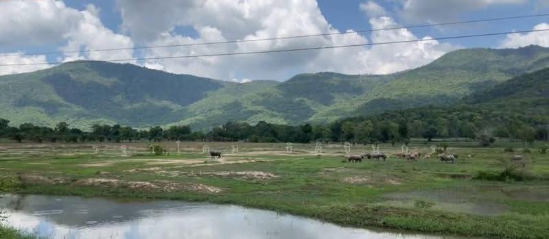 อุทัยธานี, อุทัยธานี, หนองหลวง, สว่างอารมณ์, อุทัยธานี, 134,400 ตร.ม., ที่ดิน ขาย, โดย รฐาโดม ธิติชินกร, 500578891 - DDproperty.com
