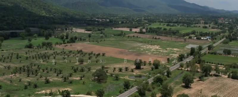 อุทัยธานี, uthai-thani, Nong Luang, Sawang Arom, Uthai Thani, , 134,400 sqm, Land For Sale, by Rathadome Thitichinnakorn, 500578891 - DDproperty.com
