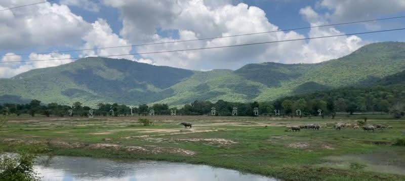 อุทัยธานี, uthai-thani, Nong Luang, Sawang Arom, Uthai Thani, , 134,400 sqm, Land For Sale, by Rathadome Thitichinnakorn, 500578891 - DDproperty.com