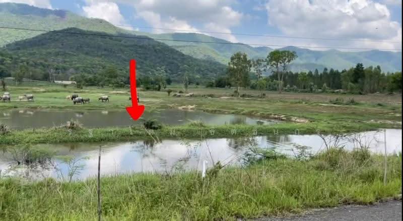 อุทัยธานี, uthai-thani, Nong Luang, Sawang Arom, Uthai Thani, , 134,400 sqm, Land For Sale, by Rathadome Thitichinnakorn, 500578891 - DDproperty.com