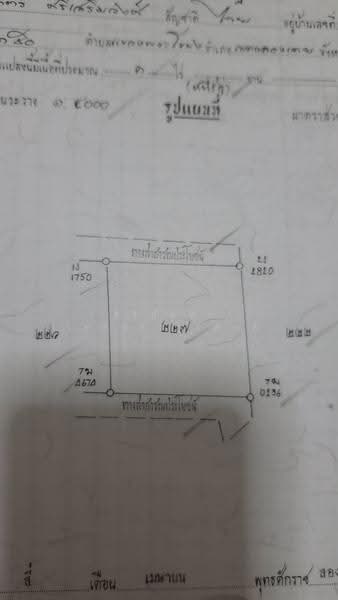 Ban Pa Na Sam, Mueang District, Loei Province, Loei, Na An, Muang Loei, Loei, , 1,600 sqm, Land For Sale, by ศิริภัสสร โชติประยูรศักดิ์, 500578898 - DDproperty.com