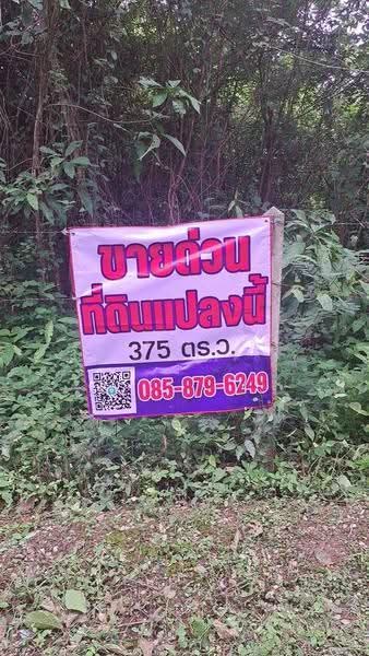 Ban Pa Na Sam, Mueang District, Loei Province, Loei, Na An, Muang Loei, Loei, , 1,600 sqm, Land For Sale, by ศิริภัสสร โชติประยูรศักดิ์, 500578898 - DDproperty.com