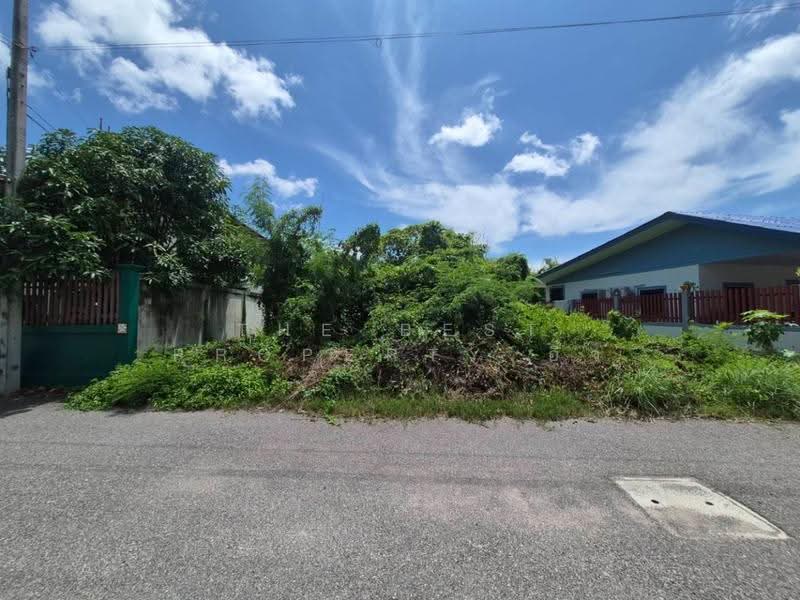 ที่ดินลาดใหญ่ สมุทรสงคราม, Samut Songkhram, Lat Yai, Muang Samut Songkhram, Samut Songkhram, , 280 sqm, Land For Sale, by The Best Property อิ๋ว, 500578910 - DDproperty.com