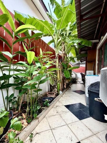Baan Fah Piyarom Pruekwana, Pathum Thani, Bung Kham Proi, Lam Luk Ka, Pathum Thani, 4 Bedrooms, 150 sqm, Semi-Detached House (Twin House) For Sale, by The Best Property โต้ง, 500579008 - DDproperty.com