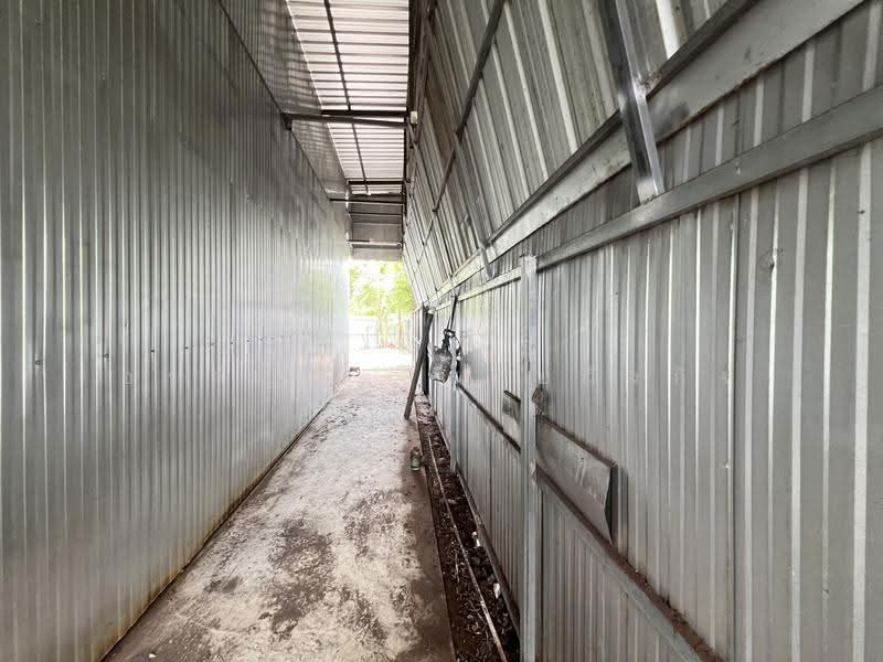 For Rent: Warehouse in San Sai – Spacious Area, Convenient Location (ID:056BR), chiang-mai, San Sai Luang, San Sai, Chiang Mai, , 700 sqm, Warehouse/Factory For Rent, by อรกัญญา สายวังกิจ, 500579269 - DDproperty.com