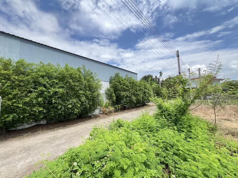For Rent: Warehouse in San Sai – Spacious Area, Convenient Location (ID:056BR), chiang-mai, San Sai Luang, San Sai, Chiang Mai, , 700 sqm, Warehouse/Factory For Rent, by อรกัญญา สายวังกิจ, 500579269 - DDproperty.com