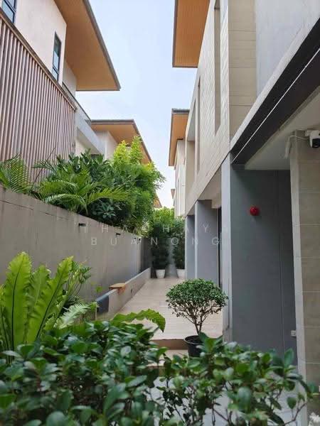 AQ ARBOR Suanluang Rama 9-Pattanakarn, bangkok, Chaloem Phrakiat Rama 9 Road Soi 48, Dok Mai, Prawet, Bangkok, 5 Bedrooms, 280 sqm, Single Detached House For Sale, by Thachaya Buanong, 500579292 - DDproperty.com