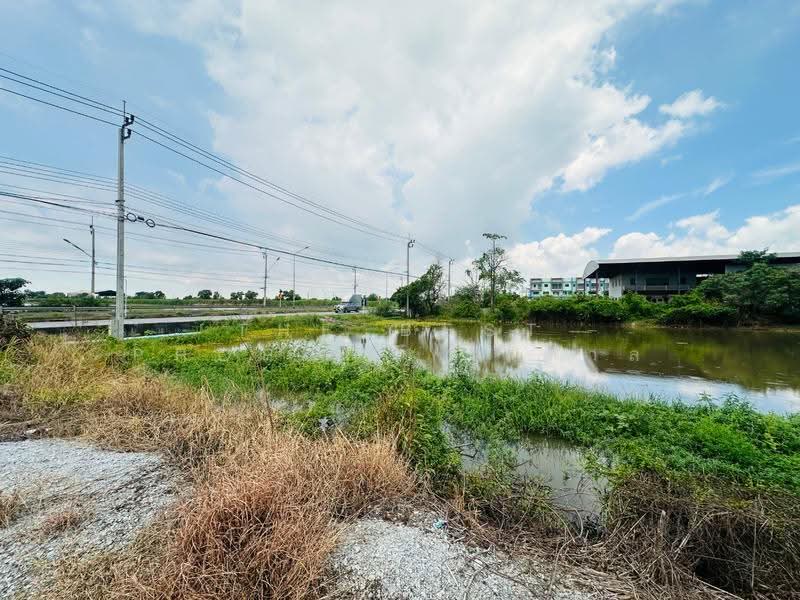 ที่ดินบางบ่อ สมุทรปราการ, สมุทรปราการ, เปร็ง, บางบ่อ, สมุทรปราการ, 10,516 ตร.ม., ที่ดิน ขาย, โดย The Best Property ตาล, 500579419 - DDproperty.com