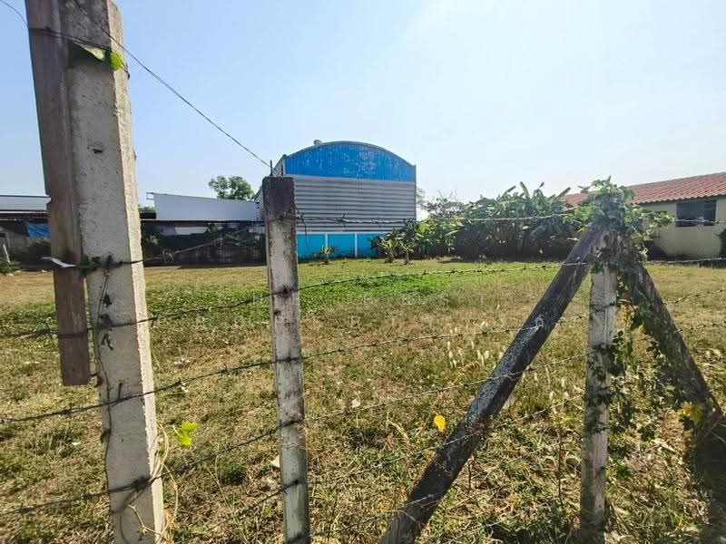 ที่ดินธัญบุรี ปทุมธานี, ปทุมธานี, บึงยี่โถ, ธัญบุรี, ปทุมธานี, 800 ตร.ม., ที่ดิน ขาย, โดย The Best Property รัก, 500579487 - DDproperty.com
