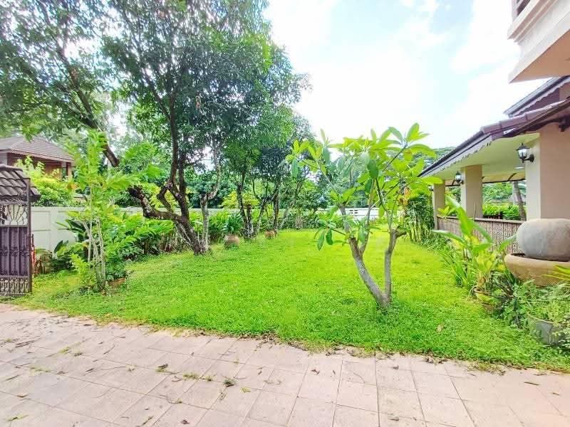 Tanawan Village, Chiang Mai, San Phi Sua, Muang Chiang Mai, Chiang Mai, 5 Bedrooms, 220 sqm, Single Detached House For Rent, by คุณ ธีรชาติ, 500579622 - DDproperty.com