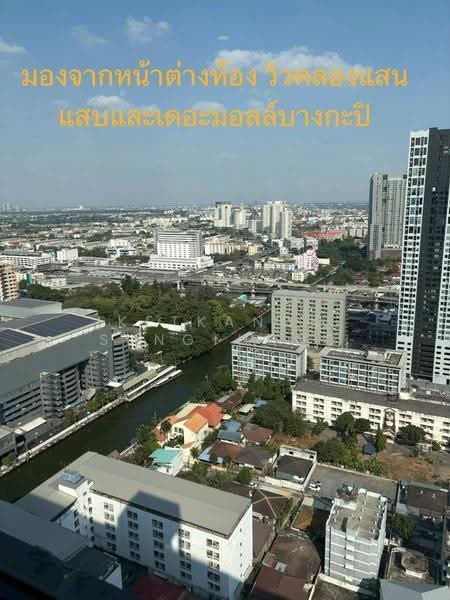The Tree Hua Mak, Bangkok, Ramkhamhaeng Road, Hua Mak, Bang Kapi, Bangkok, 1 Bedroom, 26 sqm, Condo For Rent, by Ketkanok Sungthong, 500579638 - DDproperty.com