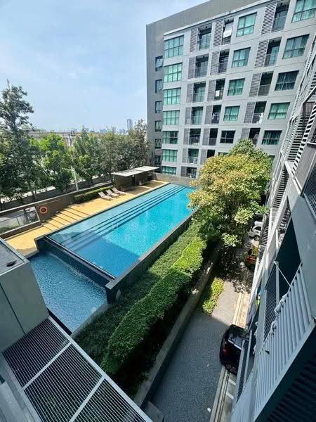 Aspen Condo Lasalle, Bangkok, Soi Sukhumvit 105 (Lasalle), Bang Na, Bangkok, 1 Bedroom, 36 sqm, Condo For Rent, by Bussara Sri-At, 500579704 - DDproperty.com