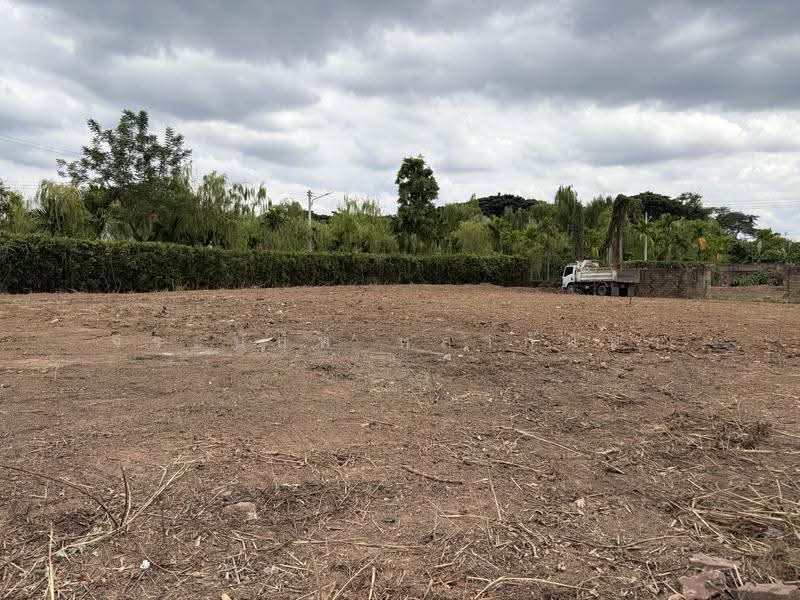 For Sale: Prime Corner Land with 3-Side Road Access Near Meechok Plaza, Chiang Mai, San Sai Noi, San Sai, Chiang Mai, , 1,308 sqm, Land For Sale, by จีระนันท์ หล้ากันหา, 500579716 - DDproperty.com