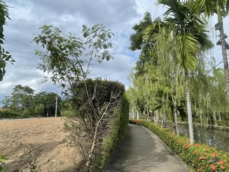 ขายที่ดินแปลงมุม ติดถนน 3 ด้าน ใกล้มีโชคพลาซ่า เชียงใหม่, เชียงใหม่, สันทรายน้อย, สันทราย, เชียงใหม่, 1,308 ตร.ม., ที่ดิน ขาย, โดย จีระนันท์ หล้ากันหา, 500579716 - DDproperty.com