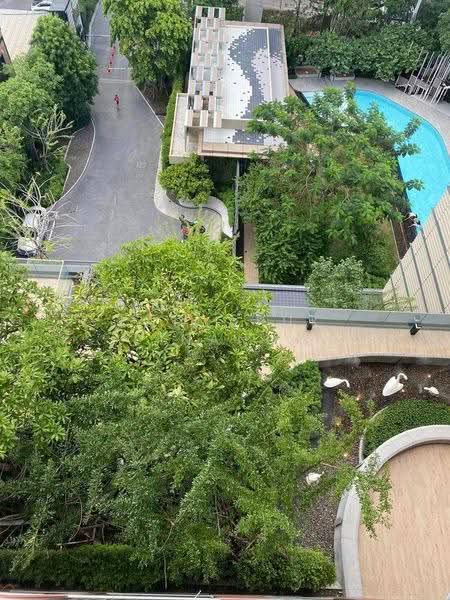 The Base Garden Rama 9, bangkok, 18 Rama 9 Road, Hua Mak, Bang Kapi, Bangkok, 1 Bedroom, 31 sqm, Condo For Rent, by Kanyapuk Tinanop, 500579836 - DDproperty.com