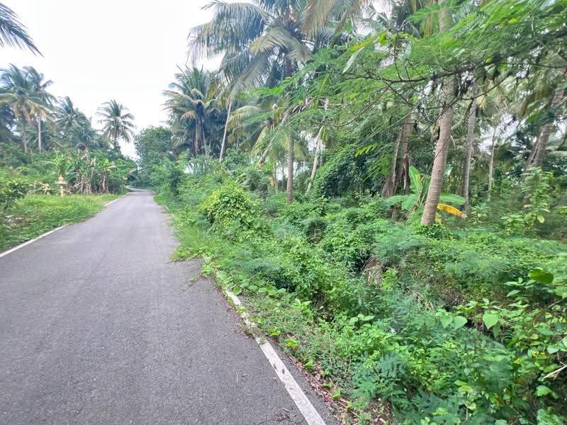ที่ดินบางคนที สมุทรสงคราม, Samut Songkhram, Bang Kung, Bang Khon Ti, Samut Songkhram, , 5,844 sqm, Land For Sale, by The Best Property ดาด้า, 500579929 - DDproperty.com