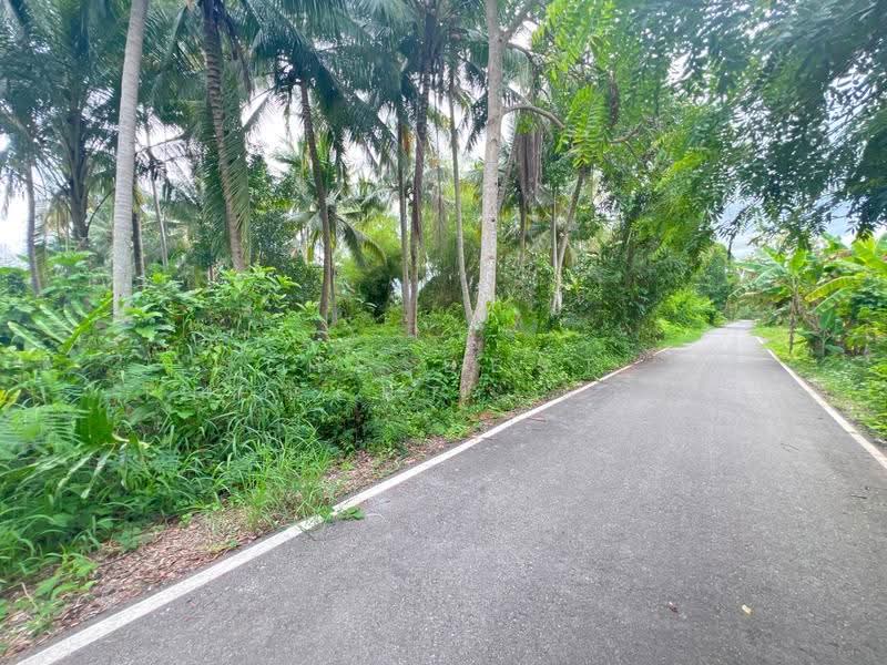 ที่ดินบางคนที สมุทรสงคราม, Samut Songkhram, Bang Kung, Bang Khon Ti, Samut Songkhram, , 5,844 sqm, Land For Sale, by The Best Property ดาด้า, 500579929 - DDproperty.com