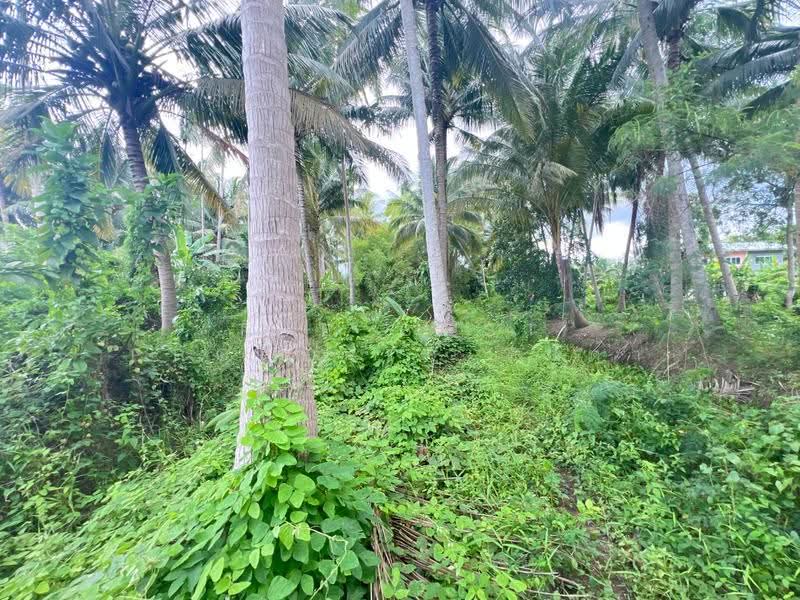 ที่ดินบางคนที สมุทรสงคราม, Samut Songkhram, Bang Kung, Bang Khon Ti, Samut Songkhram, , 5,844 sqm, Land For Sale, by The Best Property ดาด้า, 500579929 - DDproperty.com