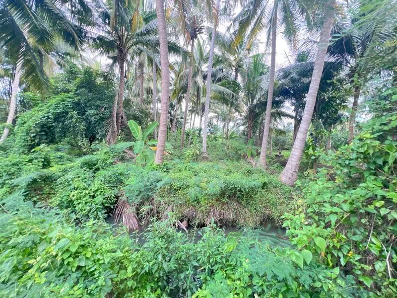 ที่ดินบางคนที สมุทรสงคราม, Samut Songkhram, Bang Kung, Bang Khon Ti, Samut Songkhram, , 5,844 sqm, Land For Sale, by The Best Property ดาด้า, 500579929 - DDproperty.com