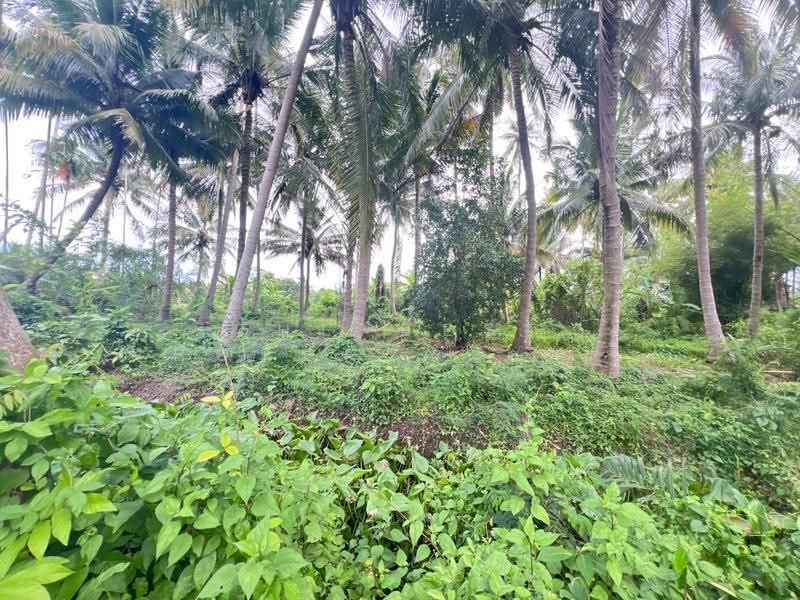 ที่ดินบางคนที สมุทรสงคราม, Samut Songkhram, Bang Kung, Bang Khon Ti, Samut Songkhram, , 5,844 sqm, Land For Sale, by The Best Property ดาด้า, 500579929 - DDproperty.com