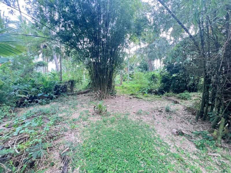 ที่ดินบางคนที สมุทรสงคราม, Samut Songkhram, Bang Kung, Bang Khon Ti, Samut Songkhram, , 5,844 sqm, Land For Sale, by The Best Property ดาด้า, 500579929 - DDproperty.com