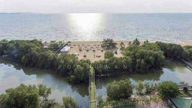 Grand Florida Beachfront : แกรนด์ ฟลอริด้า บีชฟร้อนท์, ชลบุรี, ซอยนาจอมเทียน 14, นาจอมเทียน, สัตหีบ, ชลบุรี, 42 ตร.ม., คอนโด ขาย, โดย Nattasak Poosuwan, 500579961 - DDproperty.com