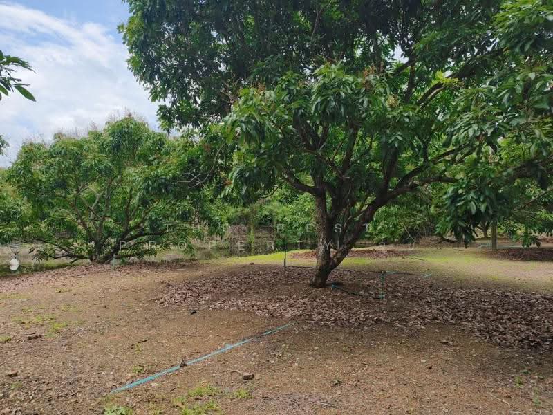 ที่ดินทรายขาว จันทบุรี, จันทบุรี, ทรายขาว, สอยดาว, จันทบุรี, 4,884 ตร.ม., ที่ดิน ขาย, โดย The Best Property จุ้ย, 500579963 - DDproperty.com