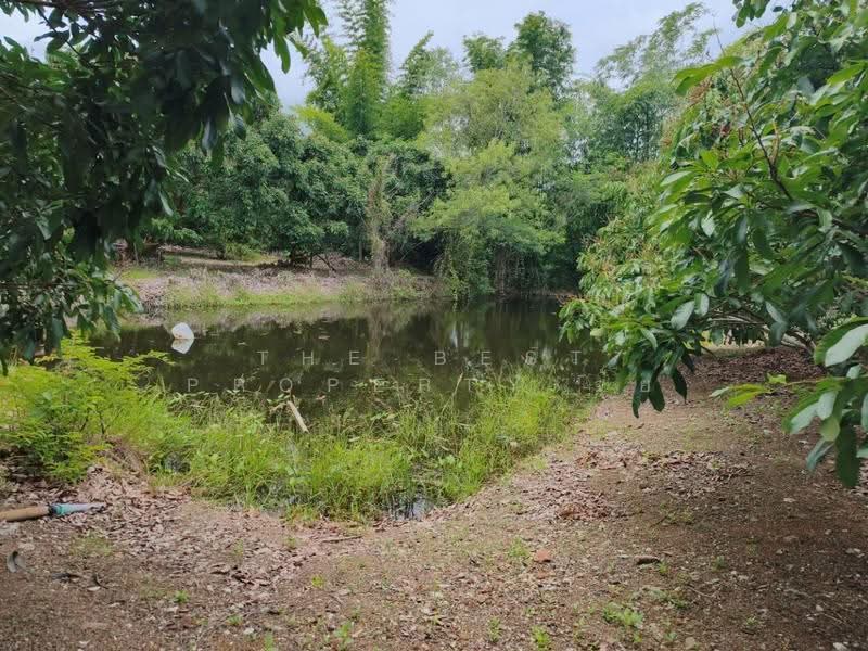 ที่ดินทรายขาว จันทบุรี, จันทบุรี, ทรายขาว, สอยดาว, จันทบุรี, 4,884 ตร.ม., ที่ดิน ขาย, โดย The Best Property จุ้ย, 500579963 - DDproperty.com