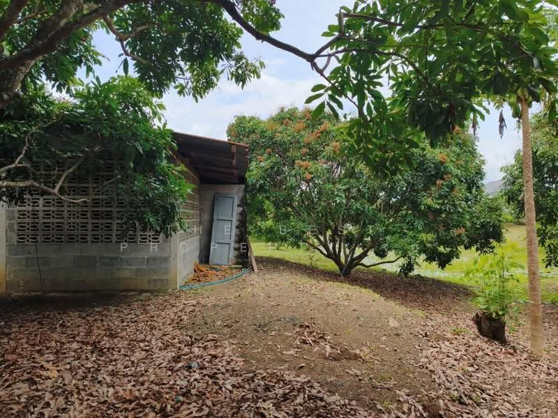 ที่ดินทรายขาว จันทบุรี, จันทบุรี, ทรายขาว, สอยดาว, จันทบุรี, 4,884 ตร.ม., ที่ดิน ขาย, โดย The Best Property จุ้ย, 500579963 - DDproperty.com