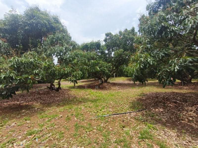 ที่ดินทรายขาว จันทบุรี, chanthaburi, Sai Khao, Soydow, Chanthaburi, , 4,884 sqm, Land For Sale, by The Best Property จุ้ย, 500579963 - DDproperty.com