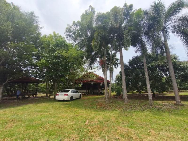 ที่ดินทรายขาว จันทบุรี, จันทบุรี, ทรายขาว, สอยดาว, จันทบุรี, 4,884 ตร.ม., ที่ดิน ขาย, โดย The Best Property จุ้ย, 500579963 - DDproperty.com