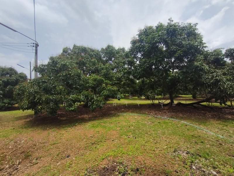 ที่ดินทรายขาว จันทบุรี, chanthaburi, Sai Khao, Soydow, Chanthaburi, , 4,884 sqm, Land For Sale, by The Best Property จุ้ย, 500579963 - DDproperty.com